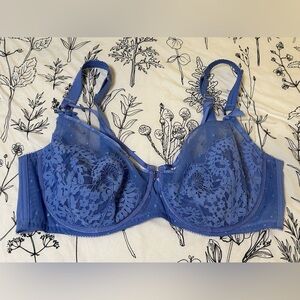 Fox & Royal Periwinkle Bra 42G